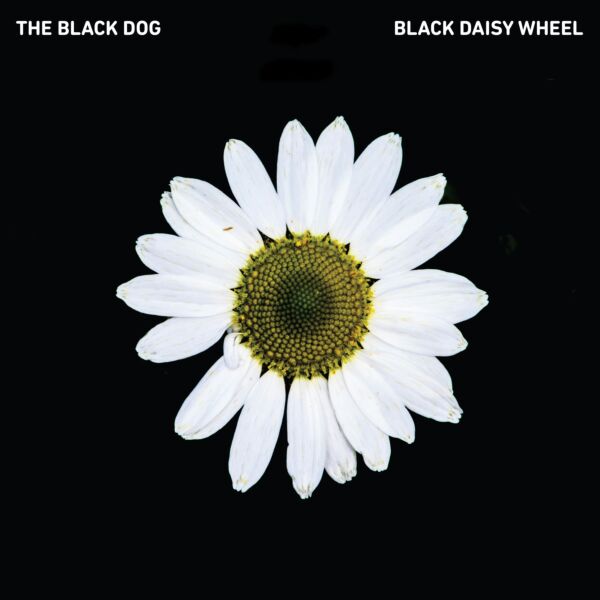 BLACK DAISY WHEEL