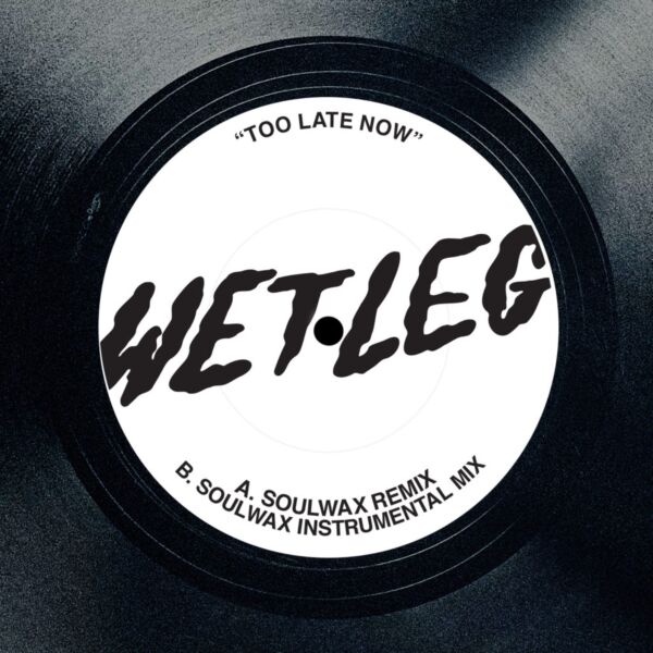 TOO LATE NOW (SOULWAX REMIX)